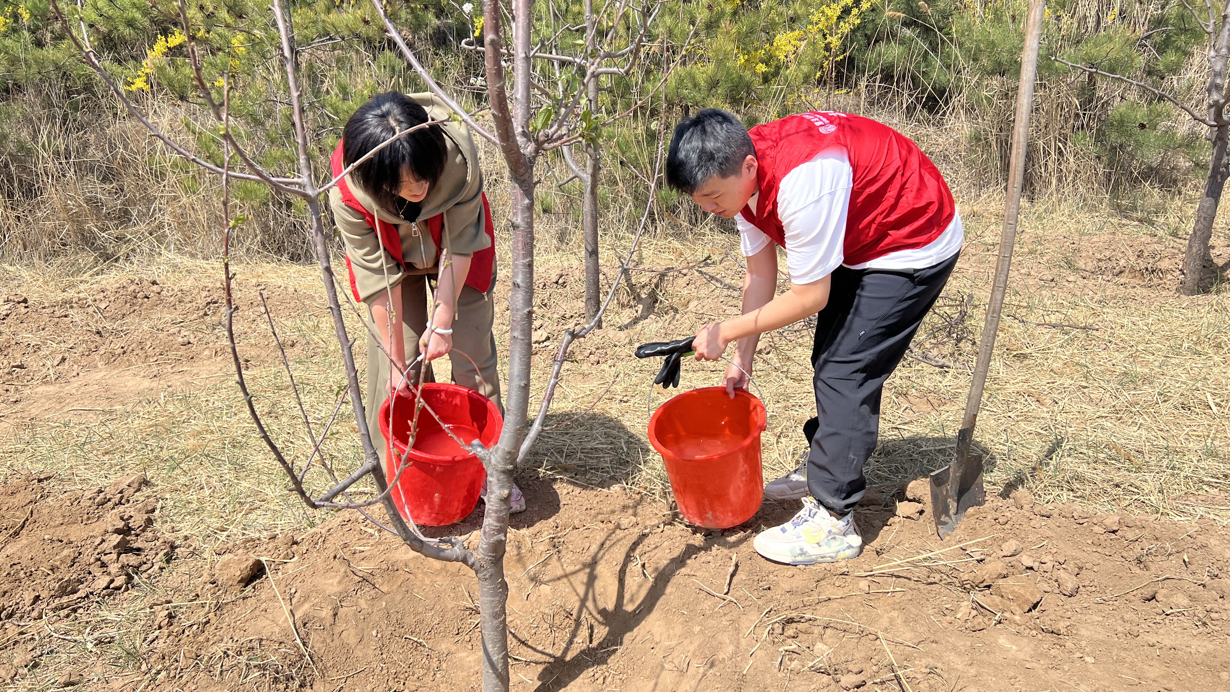 植樹活動 (7).JPG 植樹活動 (7).JPG