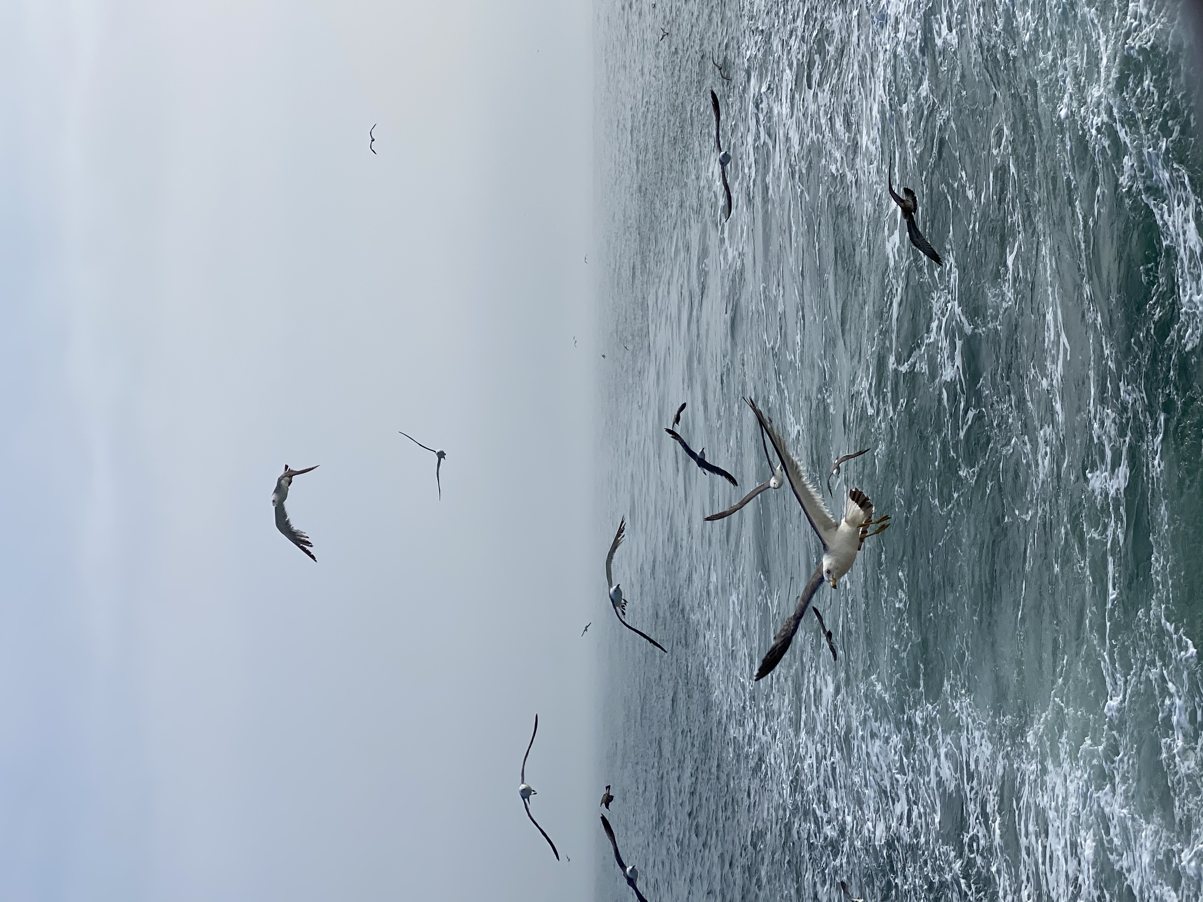 7.乘風(fēng)破浪-威海-易昕.jpg 7.乘風(fēng)破浪-威海-易昕.jpg