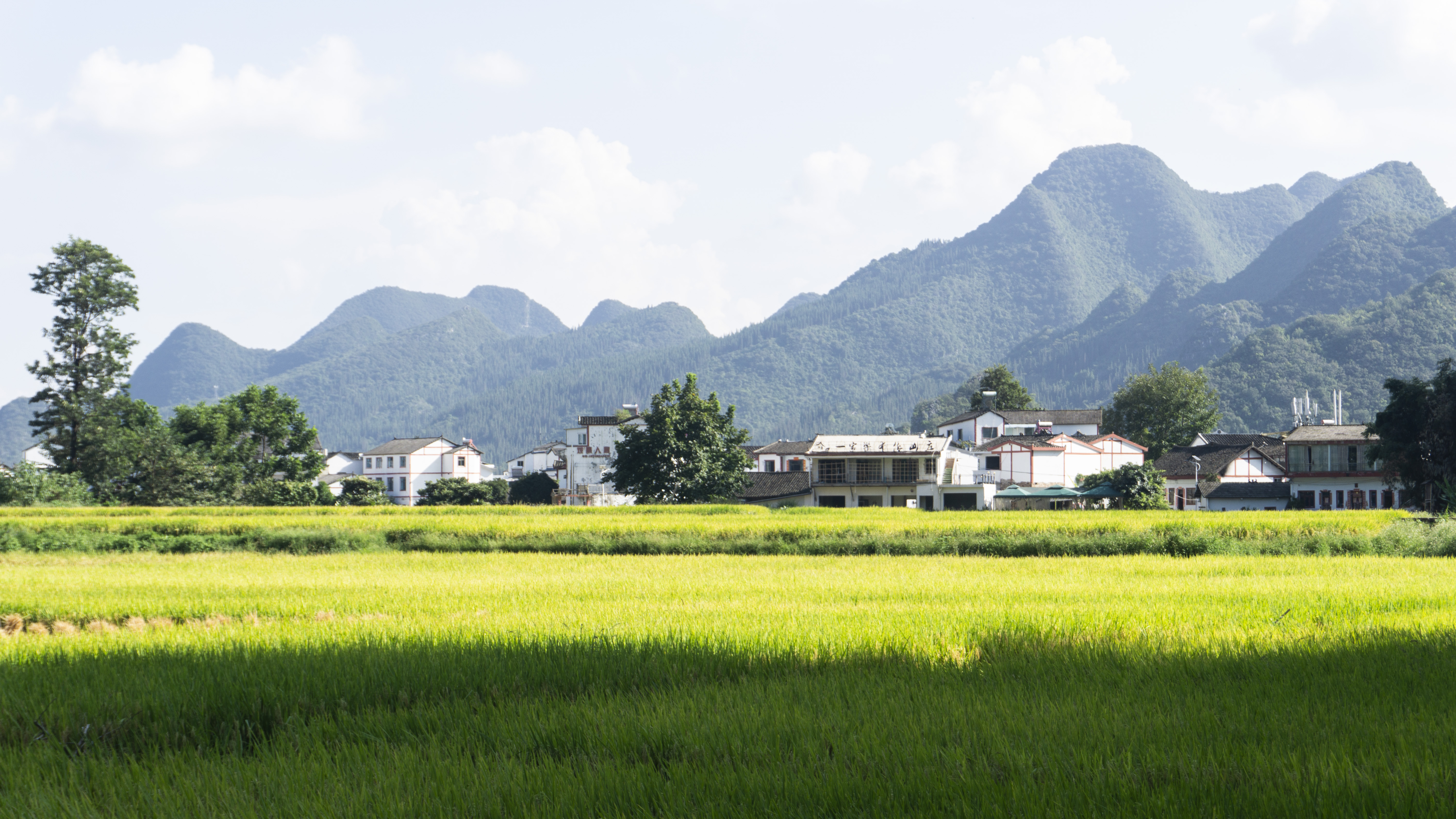 2.豐收+貴州興義萬(wàn)峰林+李慧蕓.jpg 2.豐收+貴州興義萬(wàn)峰林+李慧蕓.jpg